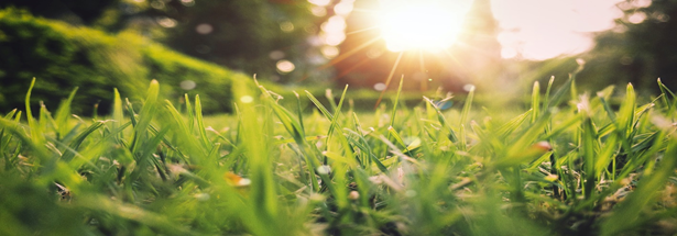 Spring-Cleaning-Banner-(1).png